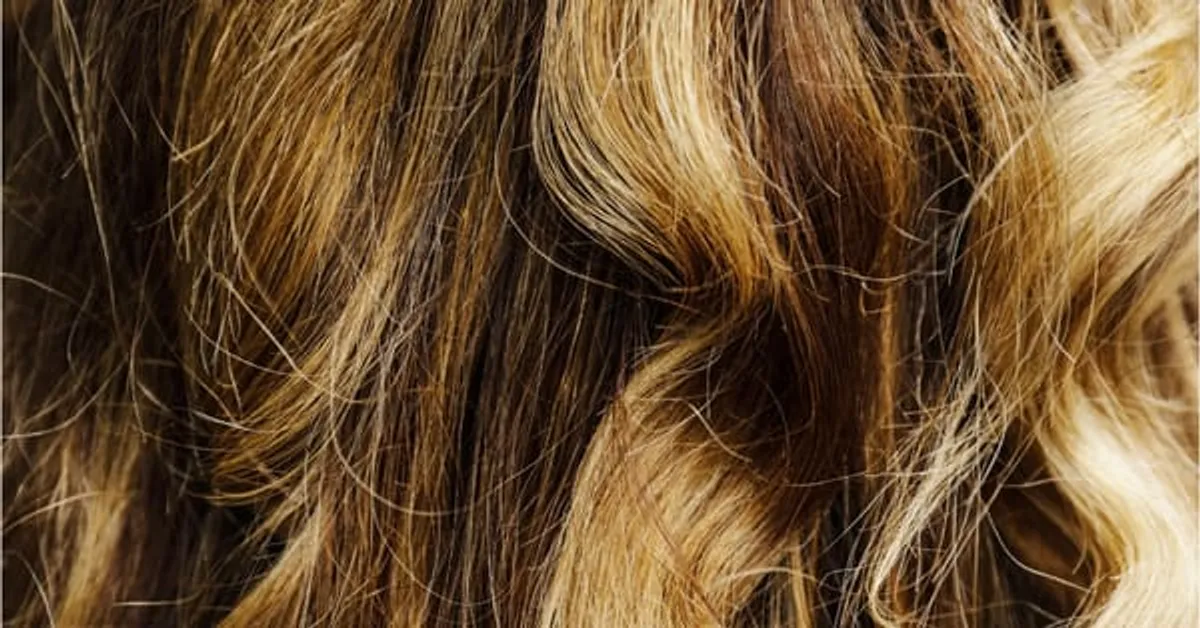 Experience Total Blonde at Expert Barbershop